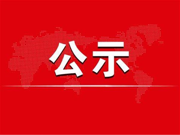 2020年度聊城市旅游發(fā)展集團股份有限公司本級決算